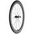 Колесо велосипедное заднее Mavic Cosmic Pro Carbon SL 28" UST для дискового тормоза CL M-25 2019, R2281130/LR2281100, изображение 2 - НаВелосипеде.рф