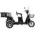 Трицикл Rutrike S2 L1 С АКБ 500W, 019026-0895, Вариант УТ-00123989: Зеленый, изображение  - НаВелосипеде.рф